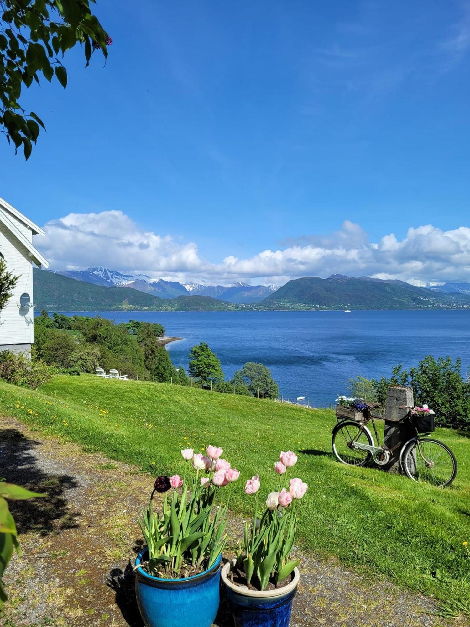Irenegarden - Panorama Apartment Lauvstad Esterno foto
